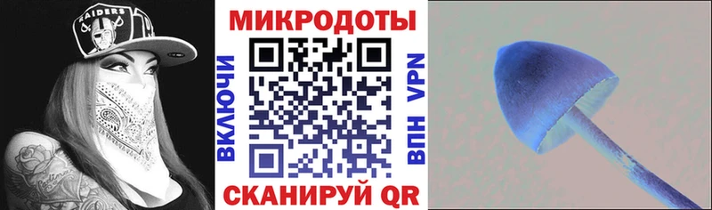 Галлюциногенные грибы MAGIC MUSHROOMS  купить   Козловка 